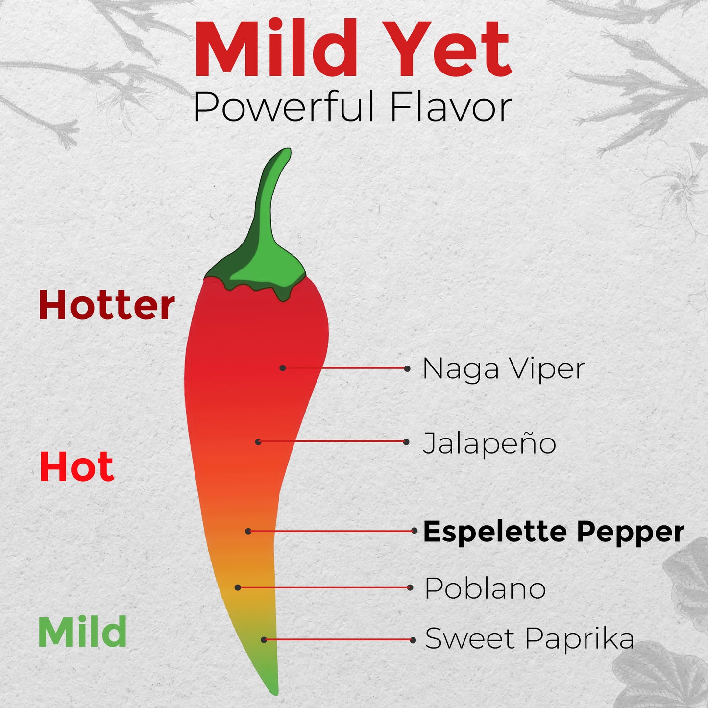 Straight From France Espelette Pepper Powder from France 1.06oz - Straight from France