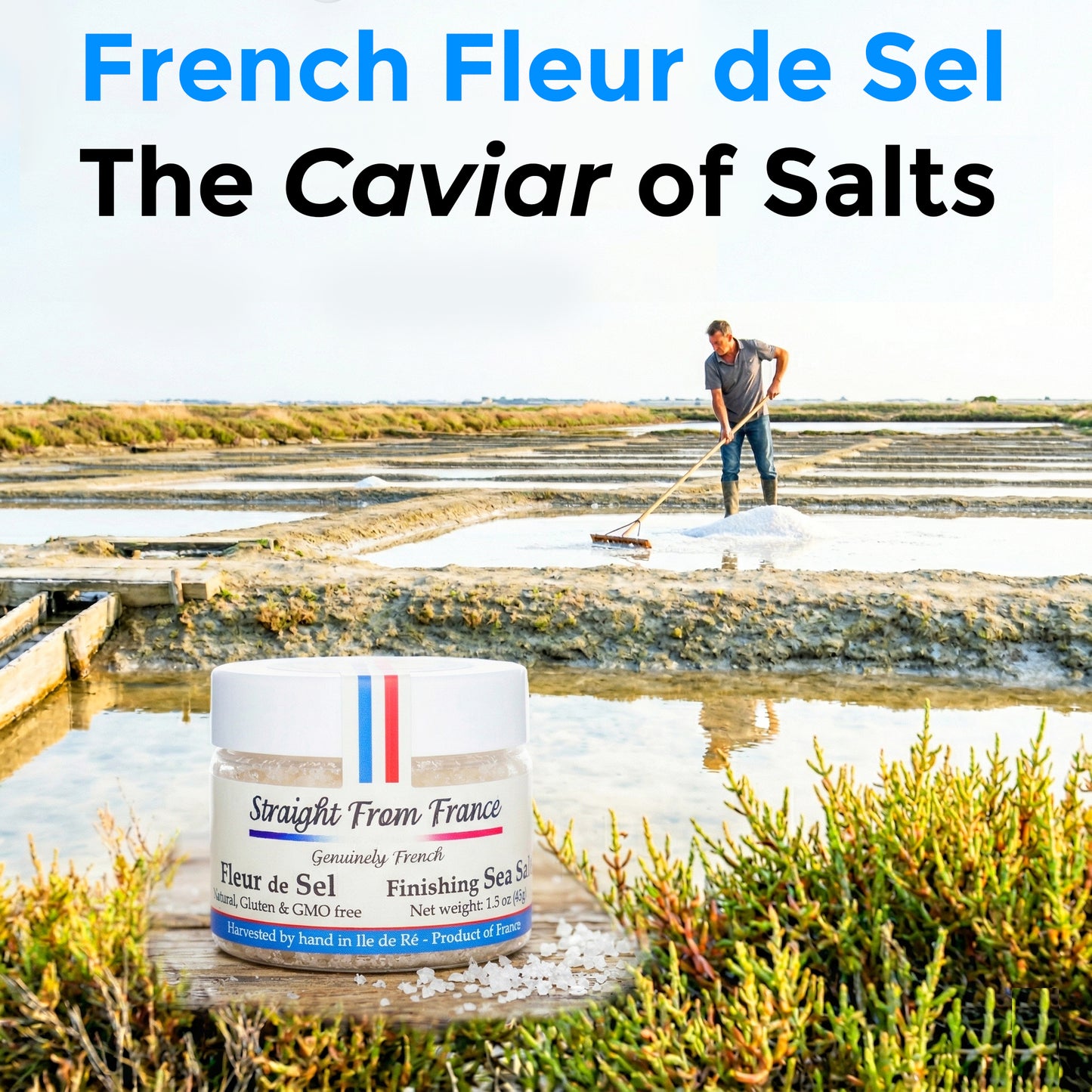 Straight from France French Fleur De Sel Finishing Sea Salt 8 Oz (Case of 12)