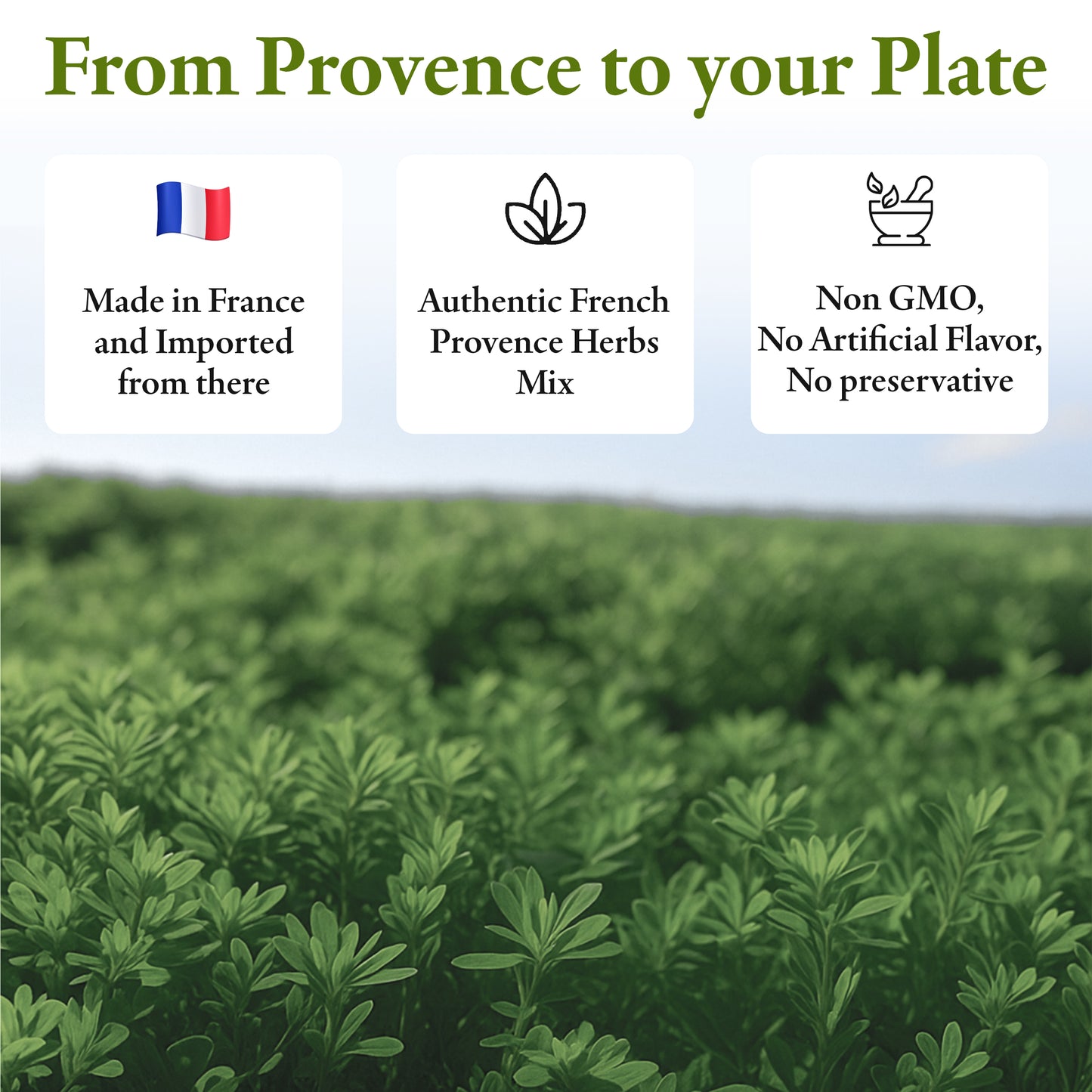 Straight From France Provence Herbs Seasoning with Lavender from France 3.5 Oz (case of 50)